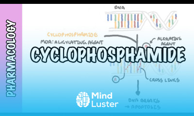 Cyclophosphamide pharmacology mechanism of action adverse effects