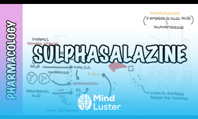 Sulphasalazine DMARD Pharmacology mechanism of action metabolism side effects