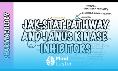 JAK Janus Kinase Pathway Inhibitor Tofacitinib pharmacology mechanism of action side effects