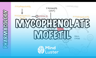 Mycophenolic Acid Mycophenolate organ transplant and DMARD mechanism of action side effects
