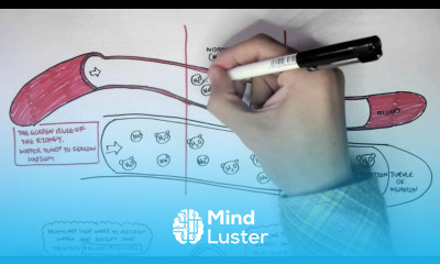 Part I Regulation of Blood Pressure Hormones