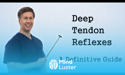 Deep Tendon Reflexes A Definitive Guide