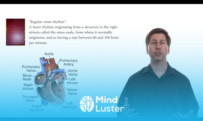 What is a normal heart rate