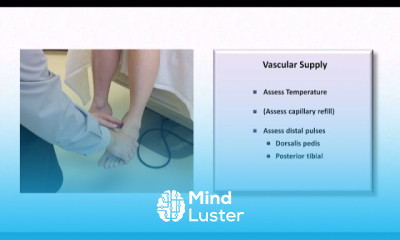 The Diabetic Foot Exam