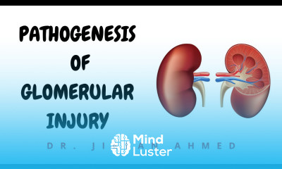 PATHOGENESIS OF GLOMERULAR INJURY II ROBBINS 10TH E IIKIDNEY II PATHOLOGY LECTURES