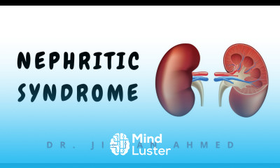 NEPHRITIC SYNDROME II PSGN II RPGN II ROBBINS 10TH E IIKIDNEY II PATHOLOGY LECTURES