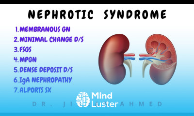 NEPHROTIC SYNDROME II MGN II MCD II FSGS II MPGN II ROBBINS 10TH E II KIDNEY II PATHOLOGY LECTURES