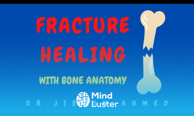 FRACTURE HEALING II BONE II ROBBINS II SYSTEMIC PATHOLOGY II BONE ANATOMY