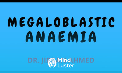 MEGALOBLASTIC ANAEMIA II HEMATOLOGY II RBC DISORDER II ROBBINS 10TH E II PATHOLOGY LECTURE