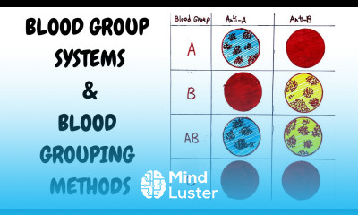 BLD GRP SYSTEM AND METHODS II HEMATOLOGY II BLOOD BANKING II PATHOLOGY LECTURES II DrJIBRANAHMED