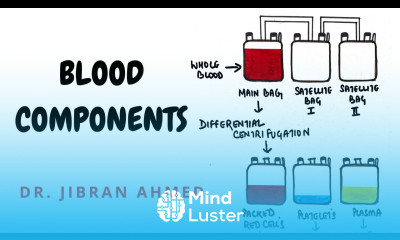 BLOOD COMPONENT II HEMATOLOGY II BLOOD BANKING II PATHOLOGY LECTURES II DrJIBRANAHMED