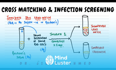 CROSS MATCHING AND SCREENING OF INFECTIONS II HEMATOLOGY II BLOOD BANKING II PATHOLOGY LECTURES II