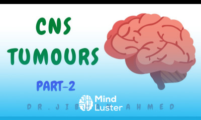 CNS TUMOURS II PART 2 II ROBBINS II WHO 5TH E II SYSTEMIC PATHOLOGY