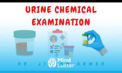 URINE II CHEMICAL EXAMINATION II PRACTICAL PATHOLOGY II CLINICAL PATHOLOGY DR JIBRAN AHMED