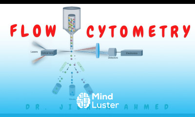 FLOW CYTOMETRY II MOLECULAR PATHOLOGY II DR JIBRAN AHMED II