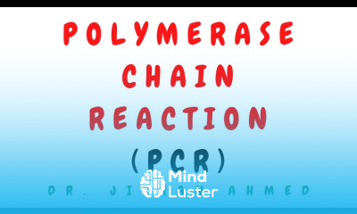 POLYMERASE CHAIN REACTION II MOLECULAR PATHOLOGY II DR JIBRAN AHMED II