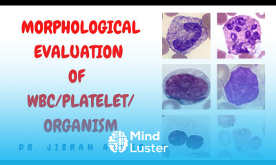 MORPHOLOGICAL EVALUATION OF WBCs PLATELETS ORGANISM II PRACTICAL PATHOLOGY II DR JIBRAN AHMED