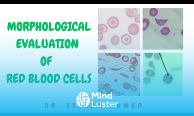 MORPHOLOGICAL EVALUATION OF RED BLOOD CELLS II PRACTICAL PATHOLOGY II DR JIBRAN AHMED