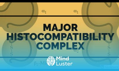 MHC CLASS 1 AND 2 II GENERAL PATHOLOGY II CHAPTER 6 II ROBBINS 10TH EDITION II