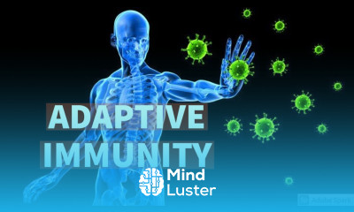 ADAPTIVE IMMUNITY II GENERAL PATHOLOGY II CHAPTER 6 II ROBBINS 10TH EDITION II PATHOLOGY