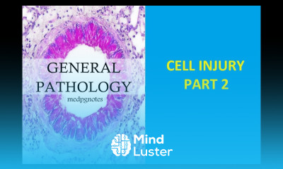 GENERAL PATHOLOGY II CHAP 2 II CELL INJURY II PART 2 II ROBBINS PATHOLOGY