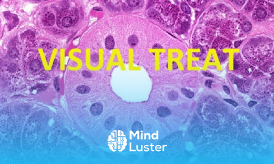 VISUAL TREAT CELL INJURY GENERAL PATHOLOGY