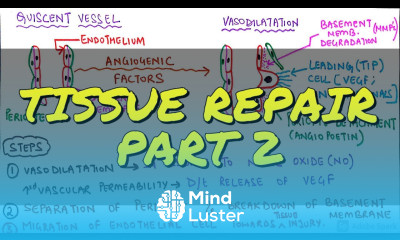 GENERAL PATHOLOGY II CHAP 3 II INFLAMMATION AND REPAIR II TISSUE REPAIR II ROBBINS 10TH EDITION