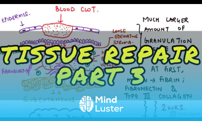 GENERAL PATHOLOGY II CHAP 3 II PART 3 II INFLAMMATION AND REPAIR II ROBBINS 10TH EDITION