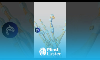 Trigger Finger See the Condition and Surgery in 3D