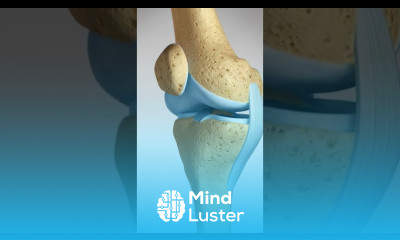 Do you know the 4 main knee ligaments kneeligaments kneeanatomy kneejoint