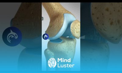 Learn How An ACL MCL Tear is Repaired 3D Animation