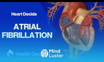 Atrial Fibrillation AFib 3D Animation