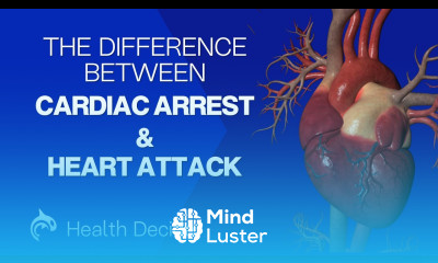Cardiac Arrest vs Heart Attacks What s the Difference 3D Animation