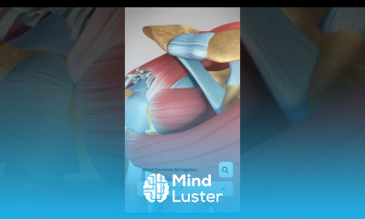 The Most Common Ski Injuries 3D Animation