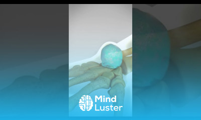 Bible Bump When the old treatment was slamming your hand with a Bible bible wrist