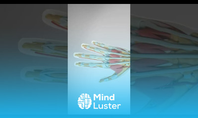 POV What your thumb joint is doing right now handpain fingerpain