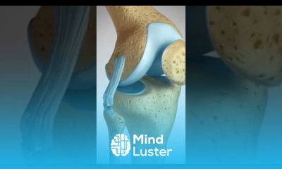 See how an ACL LCL Tear is repaired