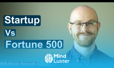 Working at a Startup vs Fortune 500 Company Alex The Analyst Show Episode 6