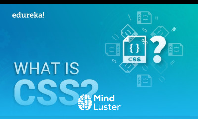 Backend web development for beginners Tutorial - Mind Luster