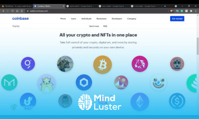What are the features of NFT Wallets Lesson 07