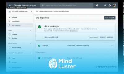 Submitting new URLs and Checking Indexing Lesson 20