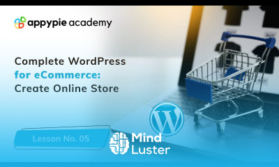 How to change WordPress website appearance Lesson 05