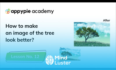 How To Make Your Photos Look Great Lesson 12