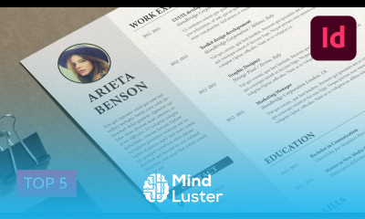 Top 5 Premium InDesign Resume Templates