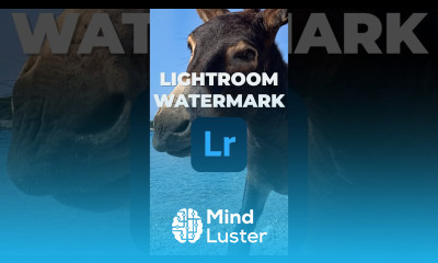 How to Add a Watermark in Lightroom shorts