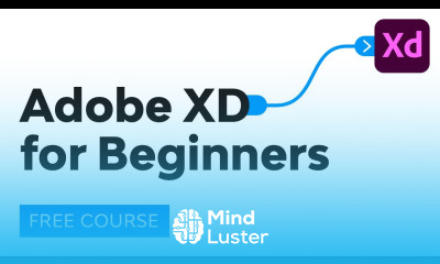 Adobe XD for Beginners FREE COURSE