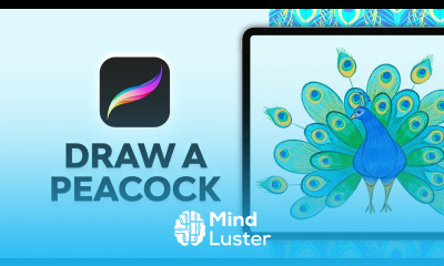 How to Draw a Peacock