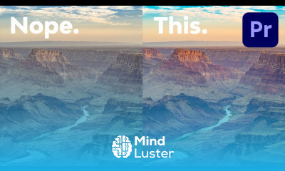 Cinematic Color Grading in Premiere Pro 3 Simple Methods