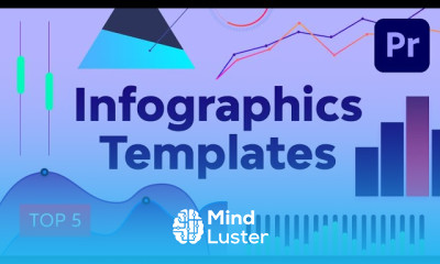 5 Top Premiere Pro Infographic Templates