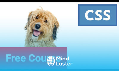 Learn CSS Typography